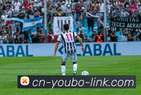 App Interface Preview